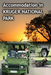 Tours and Safaris in South Africa