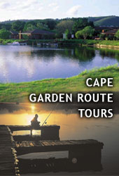 Garden Route Tours