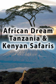 Tours and Safaris in Tanzania