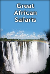 Tours and Safaris in Zimbabwe